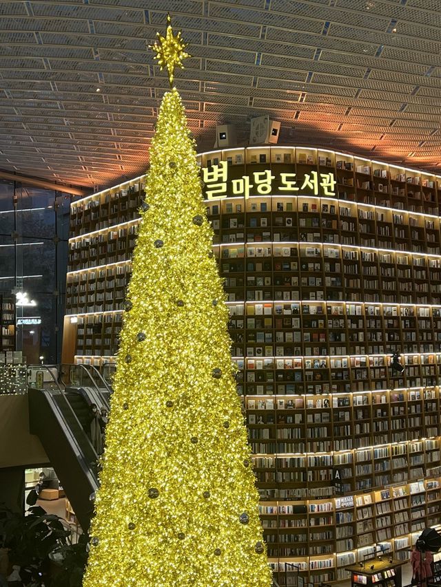 별마당도서관과 금빛트리🤩💛