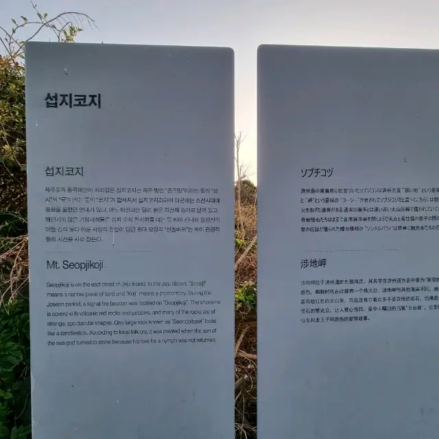 산책하기 좋은 섭지코지