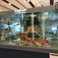 鳥取賀露市場一次滿足幾個願望