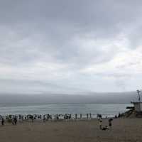 에메랄드빛 물 색깔 해변, 제주도 함덕해수욕장🌊
