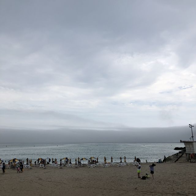 에메랄드빛 물 색깔 해변, 제주도 함덕해수욕장🌊