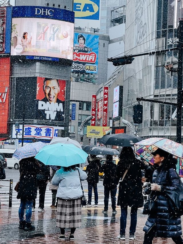 Shibuya crossing in a snowy day❄️🇯🇵