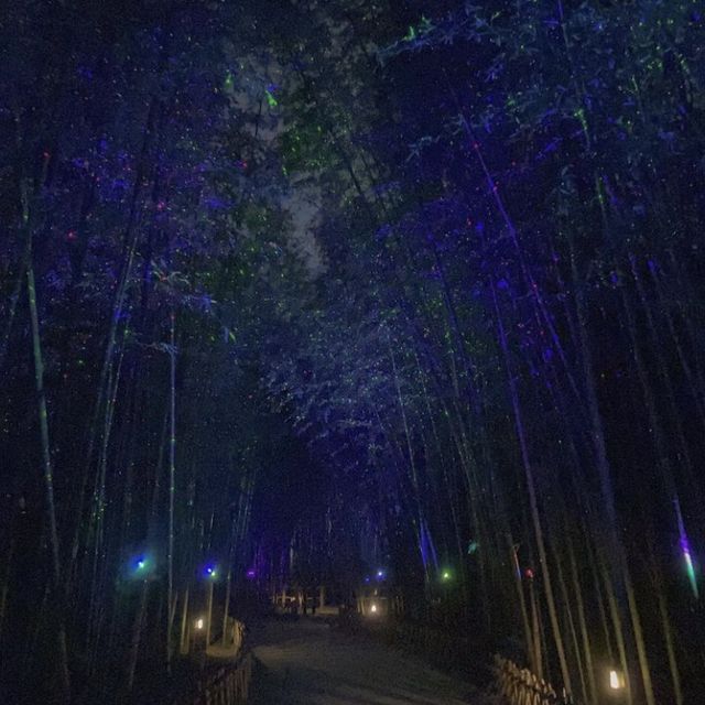 오후~저녁 쯤 가볼만한 #울산명소 zip.