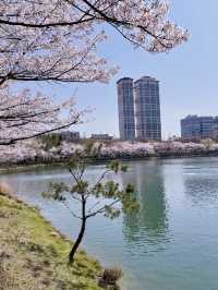 잠실 하루 여행 계획🌸