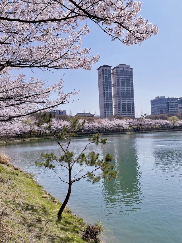 잠실 하루 여행 계획🌸