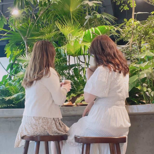 深圳藍色繡球花海