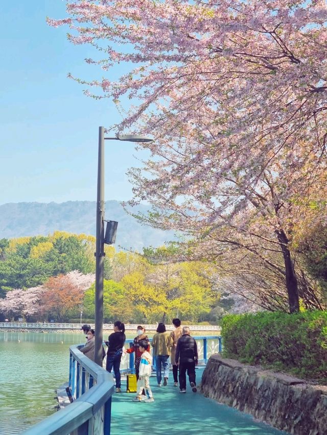 봄꽃향기 가득한 곳😊