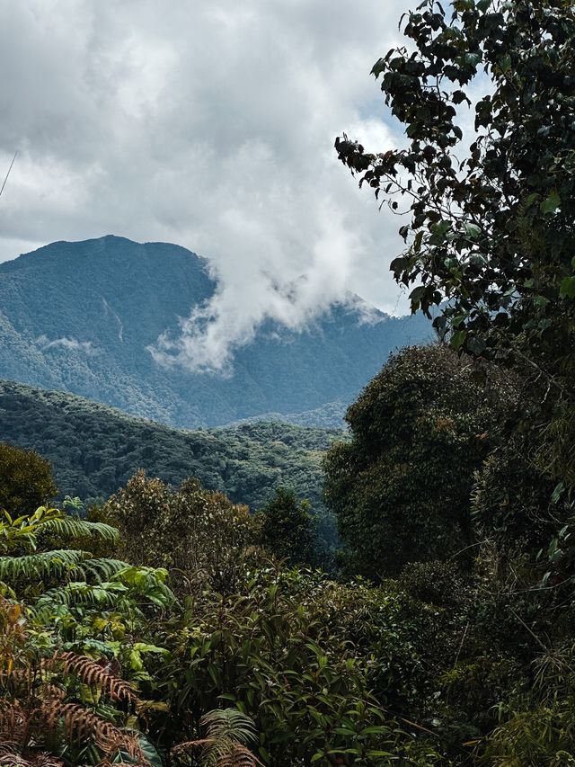 Mountain Gunung Jasar in Cameron Highlands