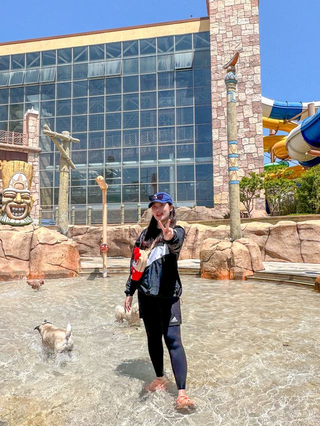 댕댕이랑 함께하는 워터파크가 있다?! 🐶