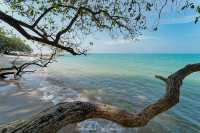หาดวงศ์อมาตย์ นาเกลือซ.18 หาดที่เคยลับ