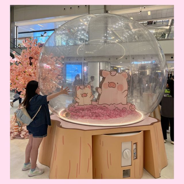 【 櫻之LuLu豬🐽 】 