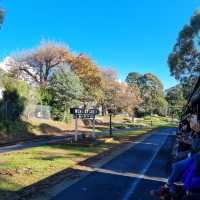 Awesome steam engine train experience 