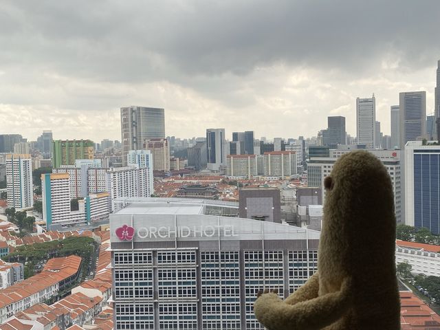 Birthday Surprise 1/2 - Carlton City Hotel