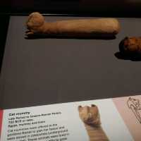 西澳博物館WA Museum Boola Bardip |古埃及文明展，首見貓咪、鰐魚木乃伊！ CT技術還原六具木乃伊生前面貌 | 埃及歷史迷必訪！