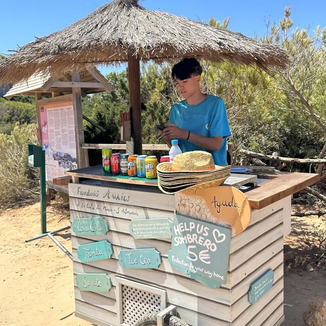마요르카섬의 숨겨진 다이빙 스팟🥽🏝️