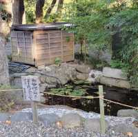 Shrine with guidance lion dog 