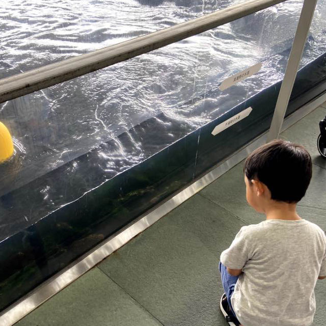 📍葛西臨海水族園