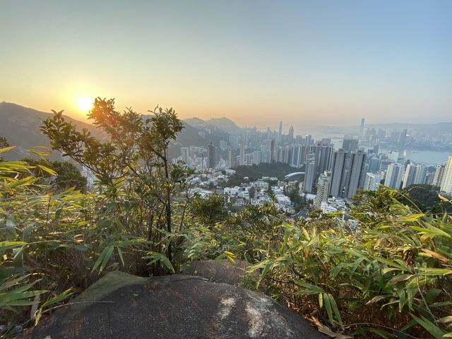 香港🇭🇰 ｜🐾 日落欣賞秘位/行山路線分享🌟 - 渣甸山懸空棧道 