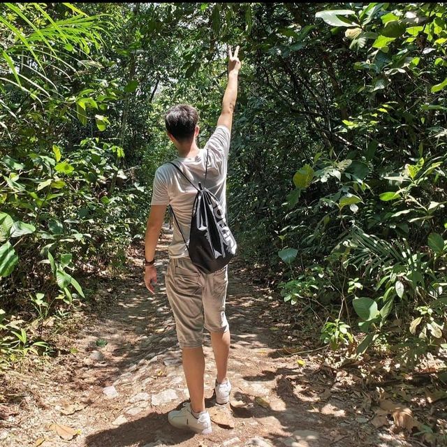 Me and the cute monkeys at MacRitchie
