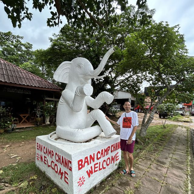 Elephants Farm in Koh Chang, Thailand 