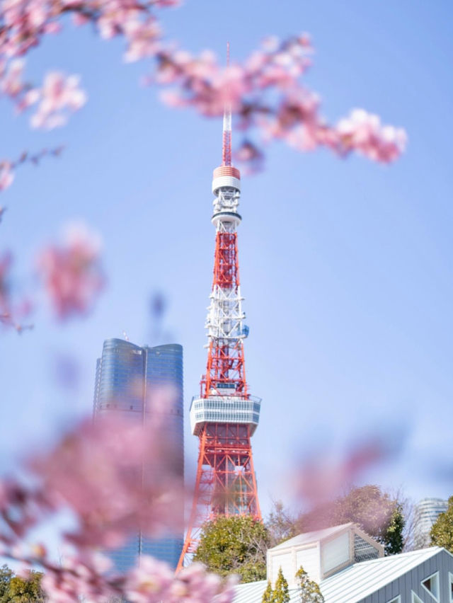 【東京都】東京タワー映えるスポット4選