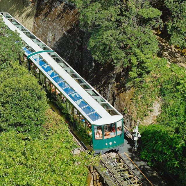 香港太平山🏞️登上維港之巔感受無限美景🌆🚠✨