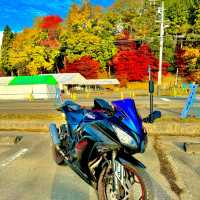 曽木公園