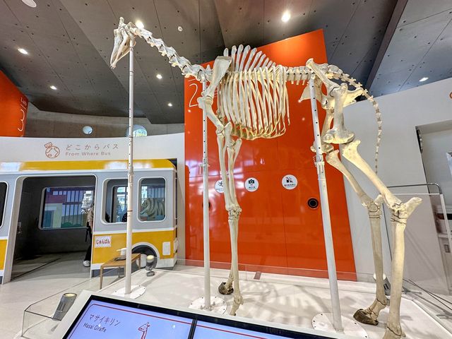 破格の600円で楽しめる動植物園！