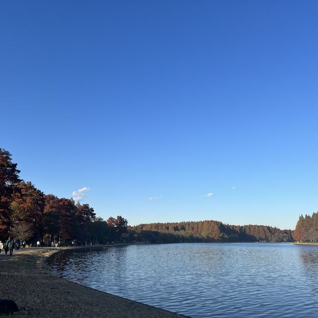 関東にもこんな美しい紅葉見れるぞ
