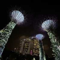 เที่ยว Gardens By The Bay ที่สิงคโปร์กันเถอะ 🇸🇬