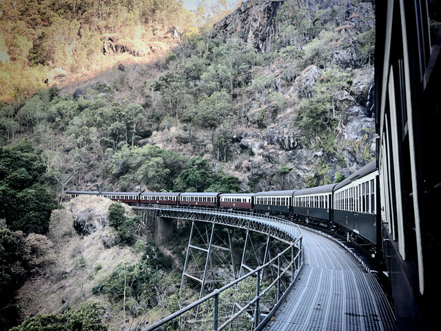 🚂開恩茲庫蘭達觀光火車：百年列車，穿梭雨林🚂