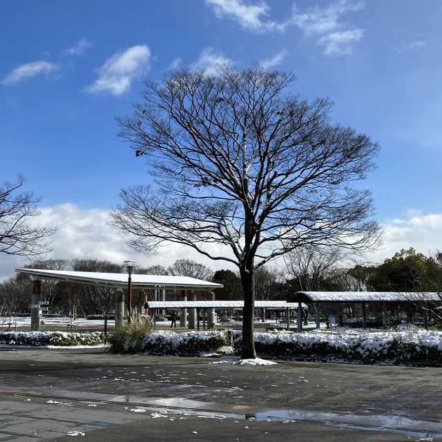 梅小路公園親子電車遊
