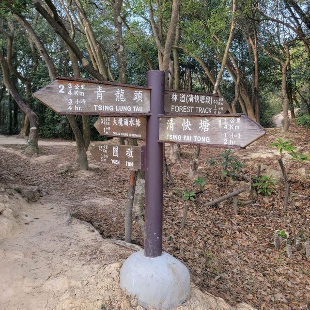 深井行山｜新年觀賞吊鐘花｜欣賞青馬大橋景色 