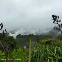 Wonderful Enriching Experience in Rotorua 