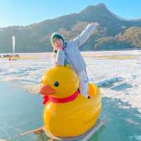 귀요운 오리썰매,, 존잼🐤