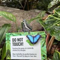 Nature in the park to fascinate yourself