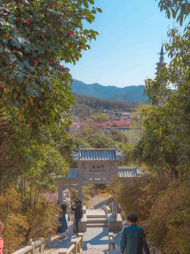 힘들었던 마음을 치유해주는 특별한 장소 "남미륵사"