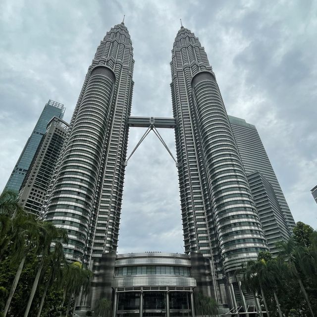 My Image 2