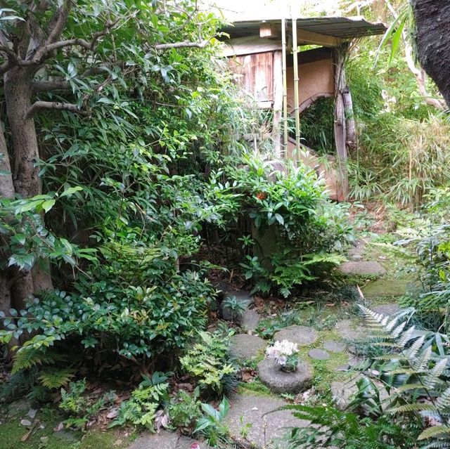 京都生ショコラ オーガニックティーハウス