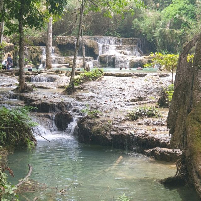 라오스 인생 여행지! 꽝시폭포 Kuangsi Waterfall