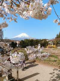 Oshino Hakkai Village