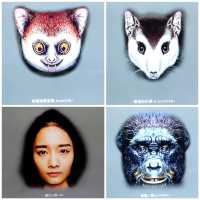 打卡深圳歷史民俗館化石展☞重返白堊紀