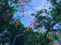 อุทยานแห่งชาติน้ำตกเจ็ดสาวน้อย จ.สระบุรี