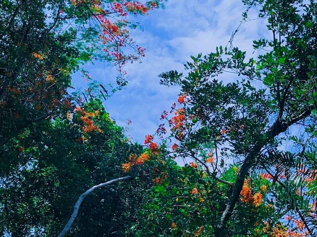 อุทยานแห่งชาติน้ำตกเจ็ดสาวน้อย จ.สระบุรี