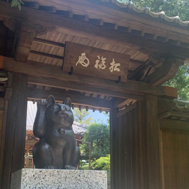 ［東京景點］招財貓神社｜好多對眼望住你