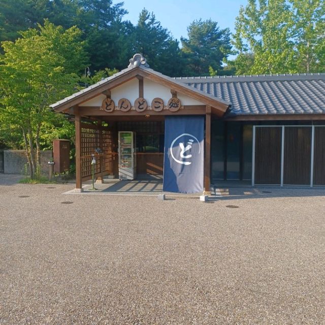 여행 새싹 나홀로 지브리 가기