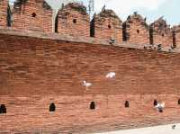 ประตูท่าแพ (Tha Phae Gate)