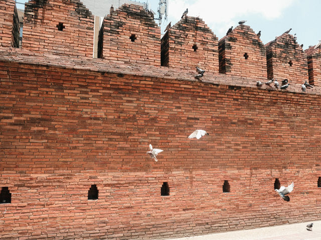 ประตูท่าแพ (Tha Phae Gate)