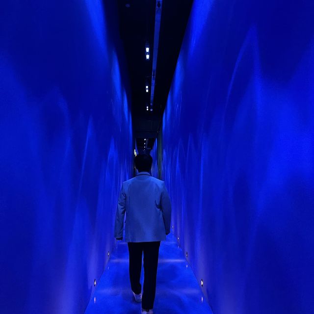 경주여행 비오는날 가기좋은 정글의법칙 