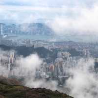 香港🇭🇰 ｜季節限定的山野景色🌟 - 大帽山 ⛰️